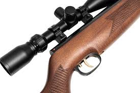 Weirhauch 97k .22