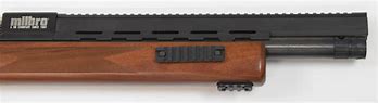 Milbro Guardian .22