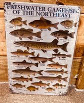 Vintage Fresh water Fish of the North East Vintage Metal Sign